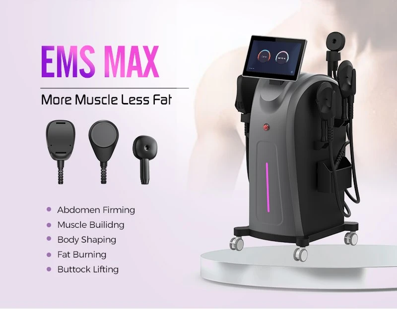 ems31_01 ems31_01